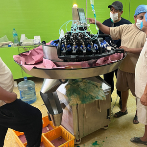 Rapid Laser Beak Trimmer Vaccine Injection
